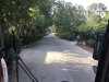 Magnolia Gardens Tour